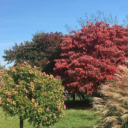 Jardin - Evasion Au Coeur De La Meuse - Fr-1-585-122 3*